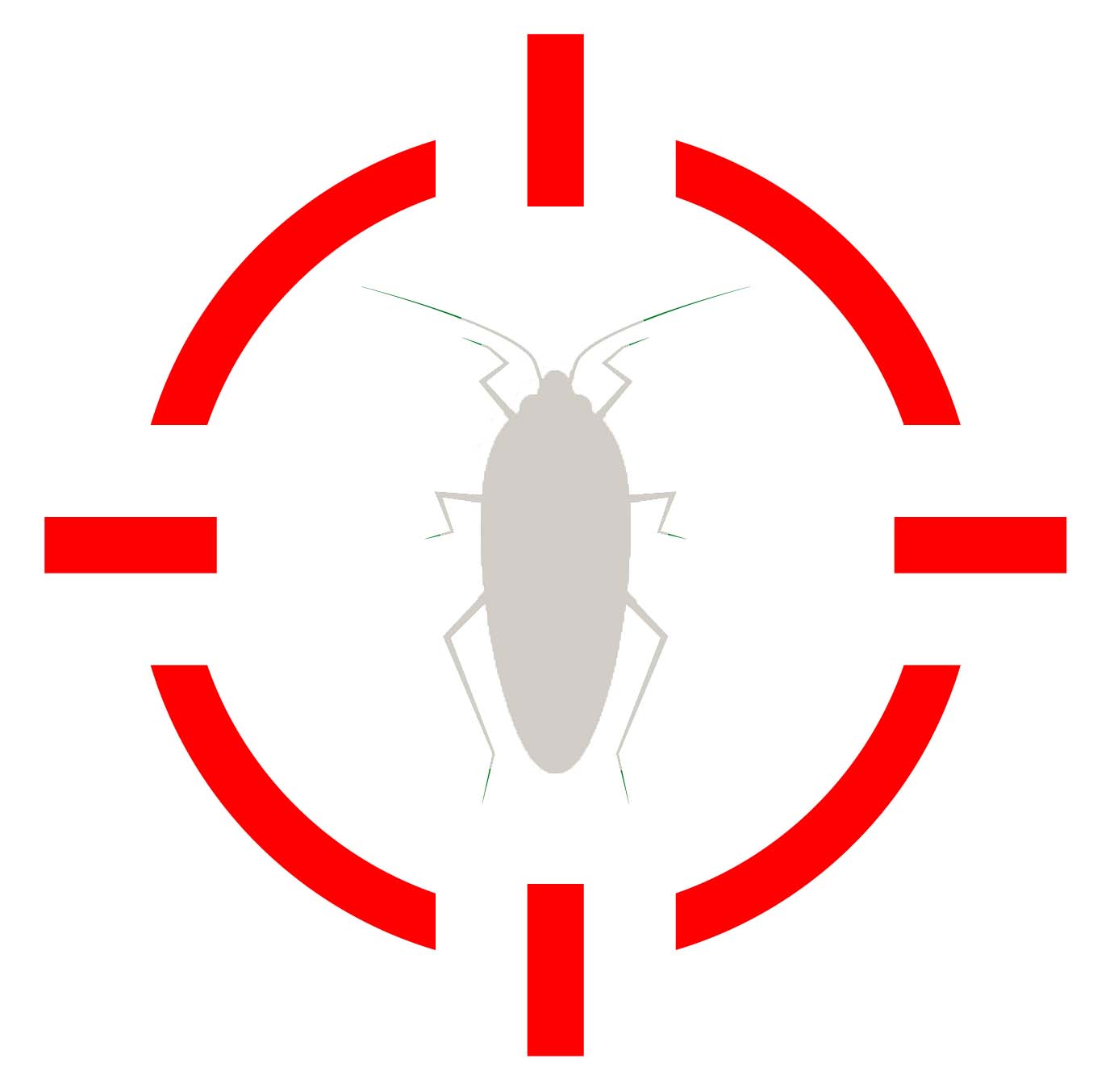 Pest Control Long Island, NY_Roaches