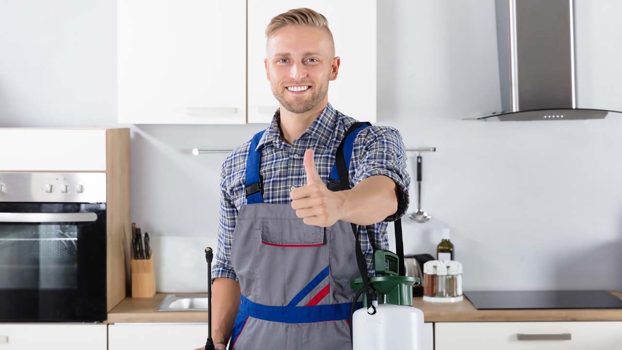 Bed Bug Treatment Long Island Bed Bug Exterminator Bed Bug Removal