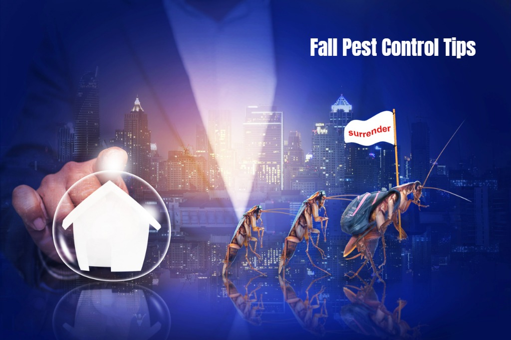 Fall Pest Control Tips