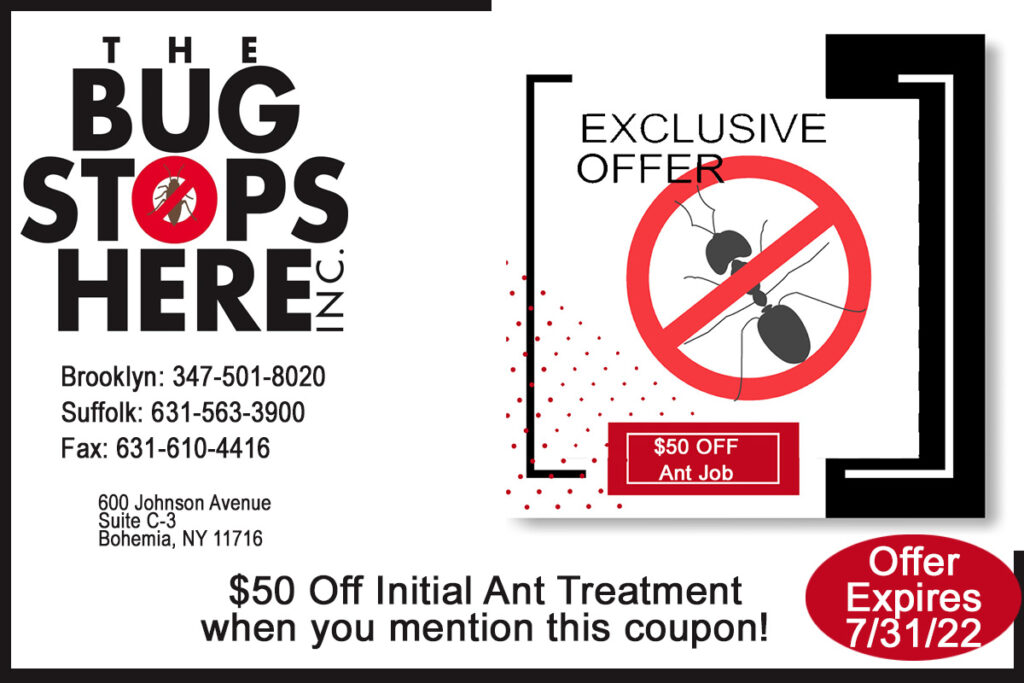 Bug Stops Coupon 50 Off Ant