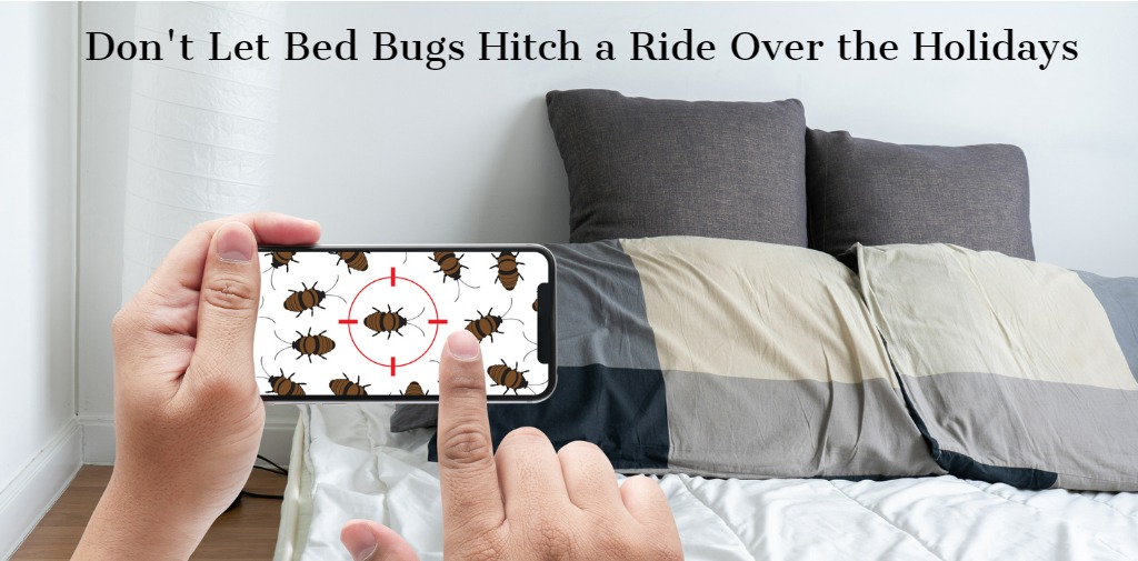 Don't Let Bed Bugs Hitch a Ride Over the Holidays