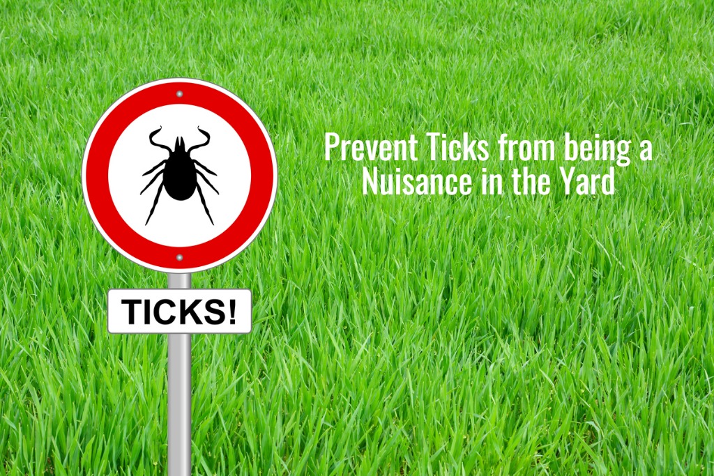 Prevent Ticks from being a Nuisance in the Yard