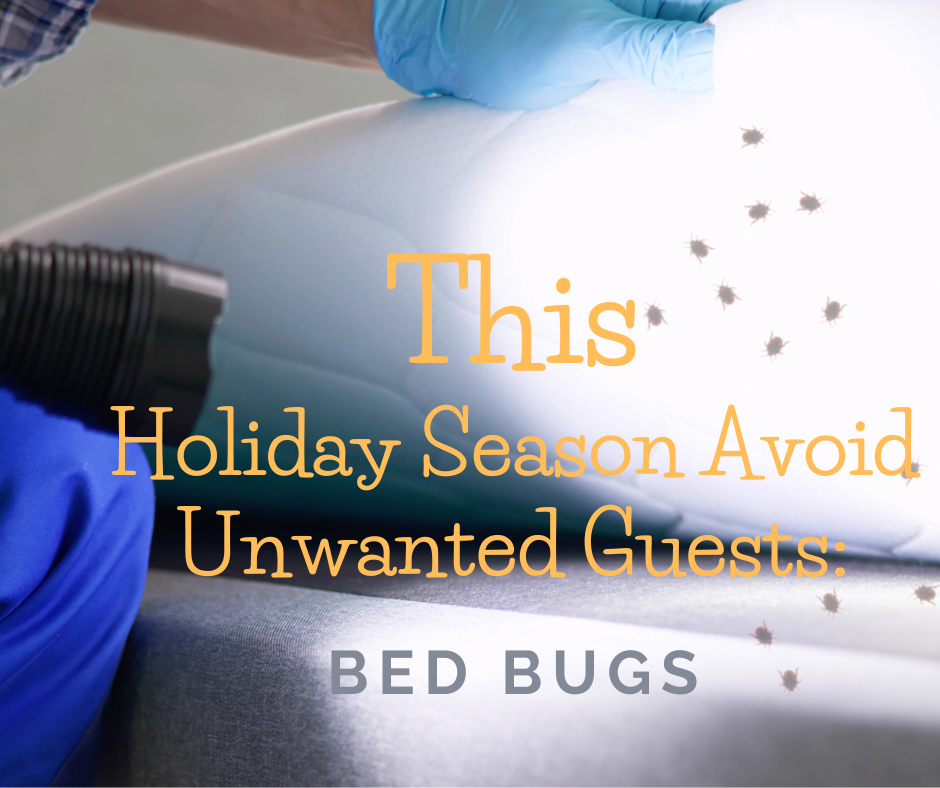 This Holiday Season Avoid Unwanted Guests Bed Bugs